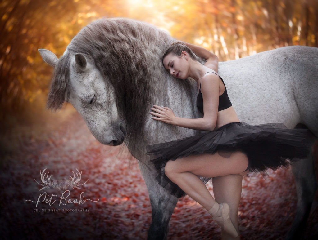 Formation photographe animalier