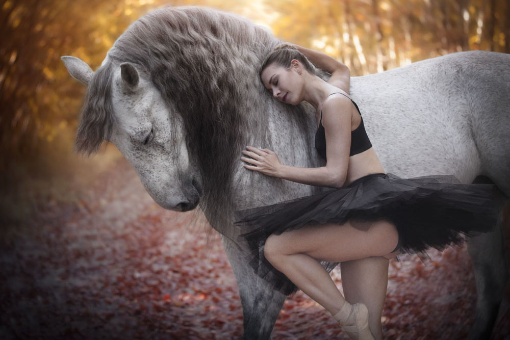 Avant Après cheval