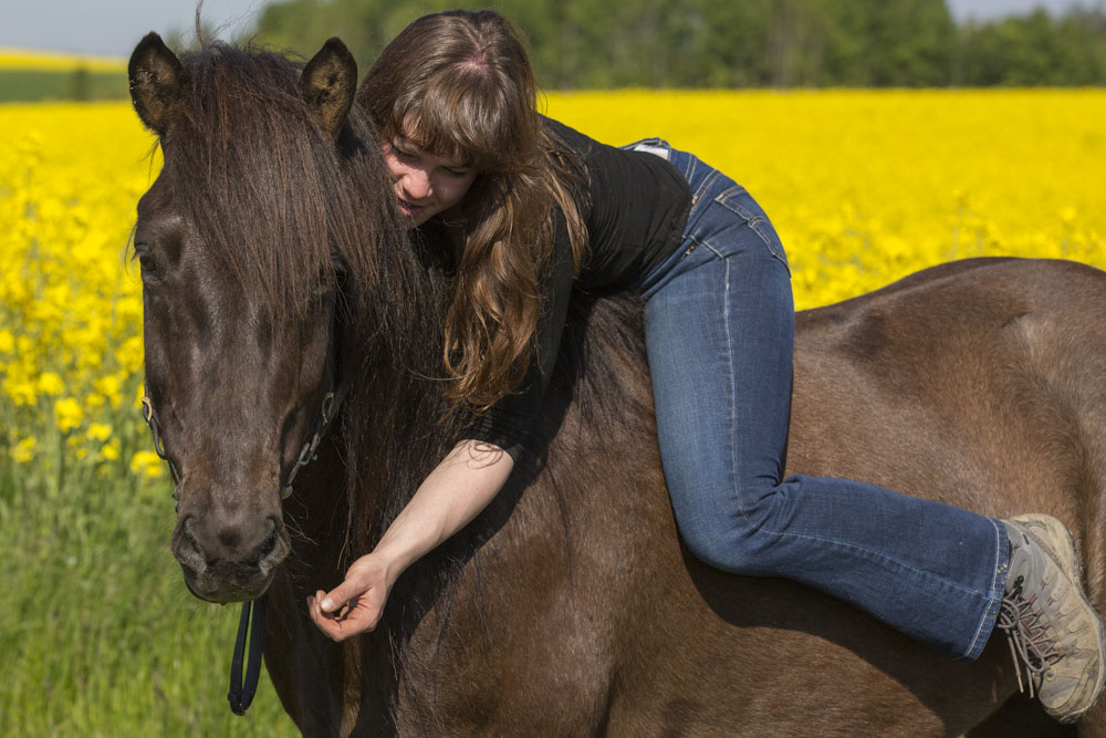 Formation apprendre photographie équine photos cheval