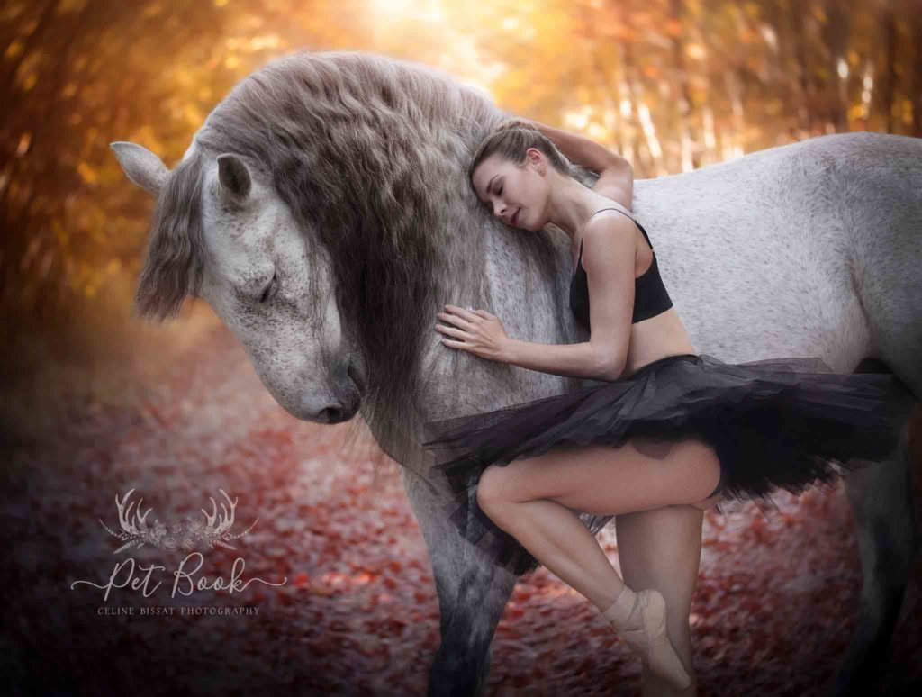 Devenir photographe animalier