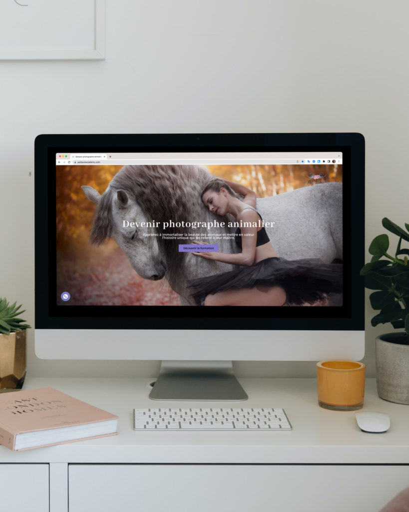 Site internet photographe animalier