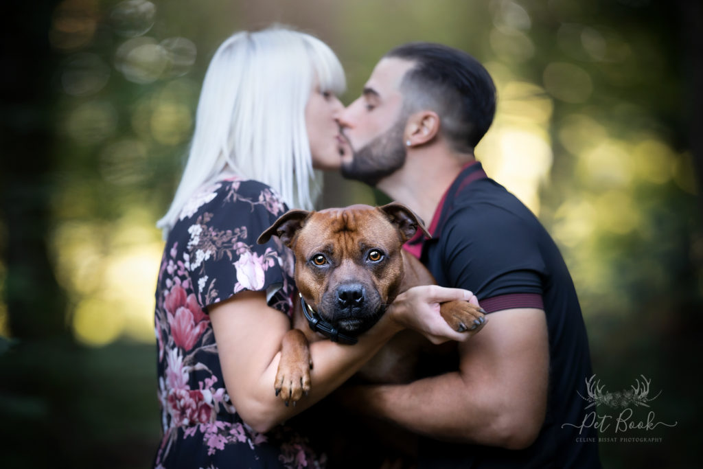 Comment devenir photographe pour animaux, comment devenir photographe pour chien