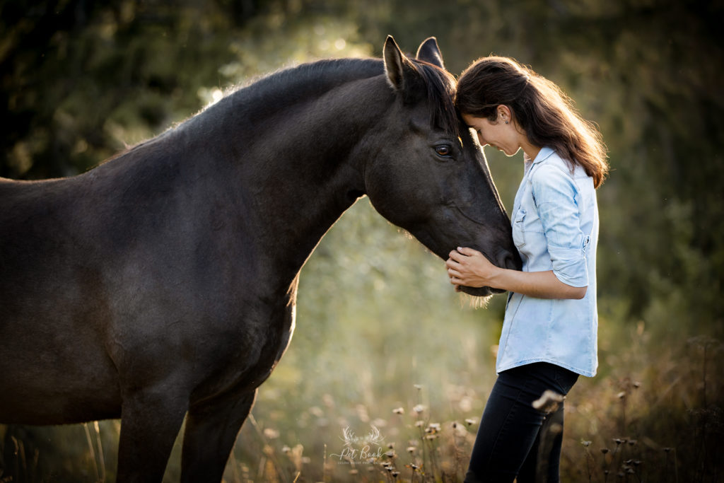 apprendre photo animalière chien photo devenir photographe formation photographe chevaux équin équestre