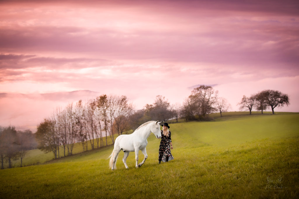 Formation photographie équine chevaux